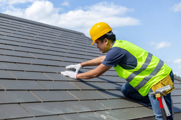 Best Roof Gutter Cleaning  in Sprague, WV
